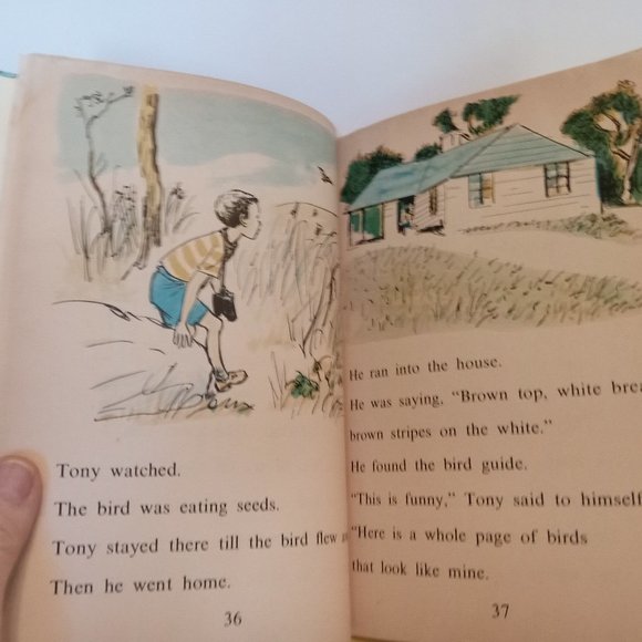 "Tony's Birds" book from 1961 - Picture 9 of 12